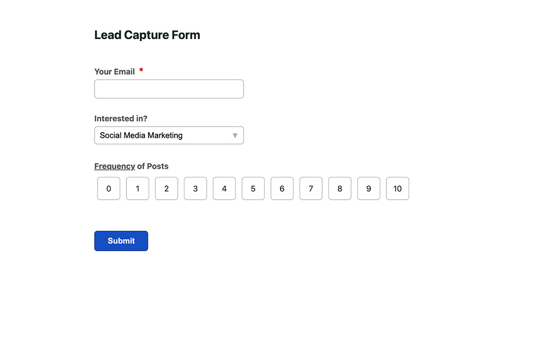 Lead Capture Form